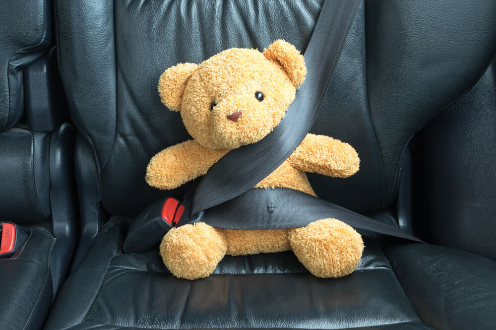 Teddy bear in seat belt