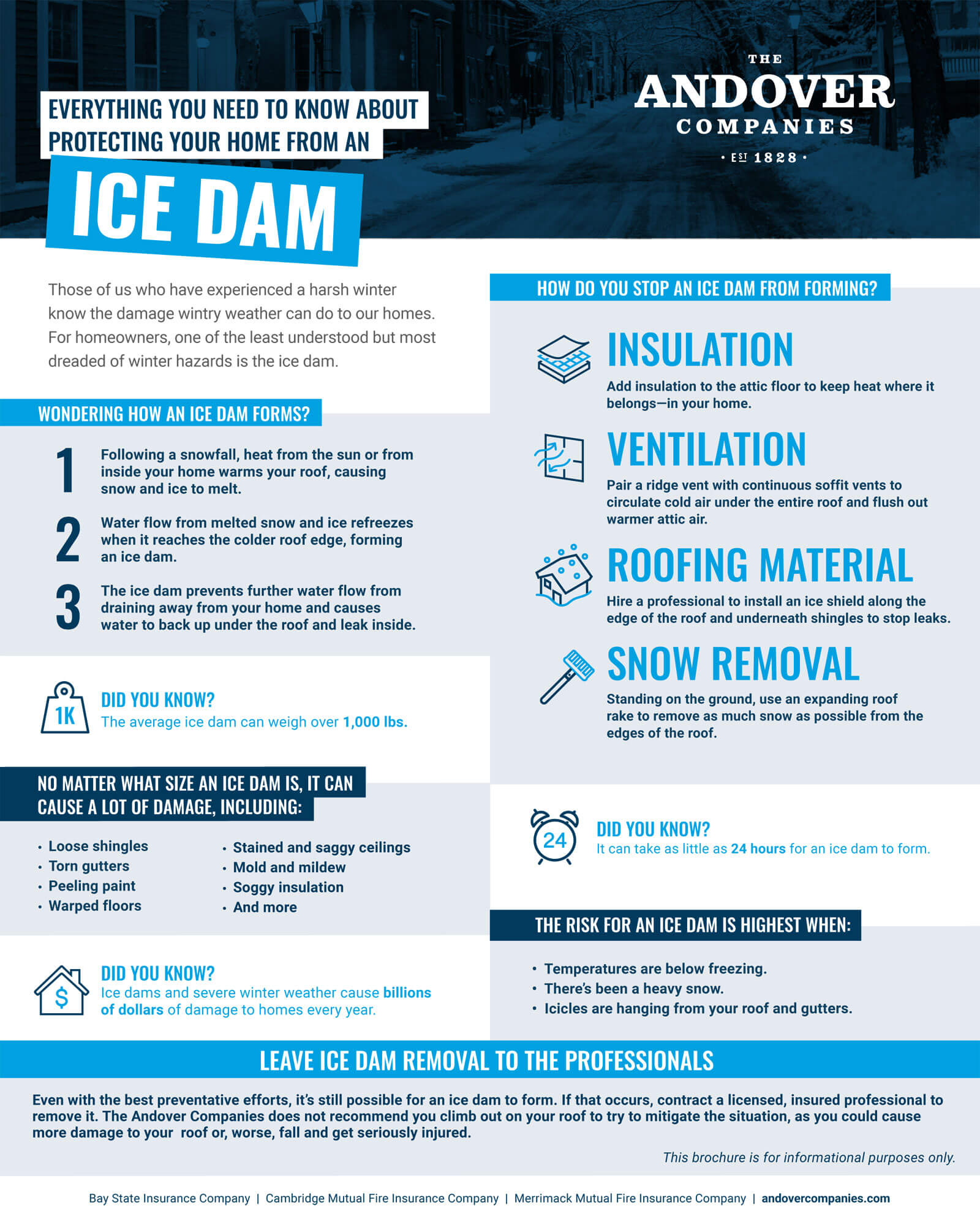 Ice Dam Infographic