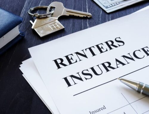 Why Lemonade Renters’ Insurance Is a Popular Choice