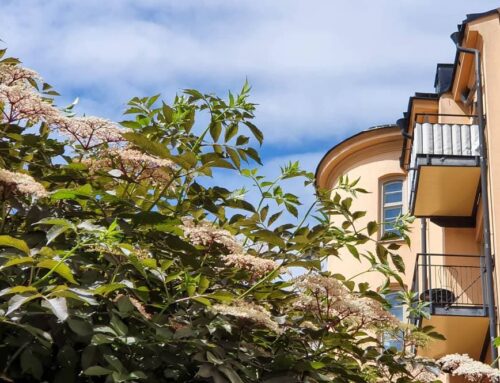 Condo Association Insurance: What Every HOA Board Needs to Know